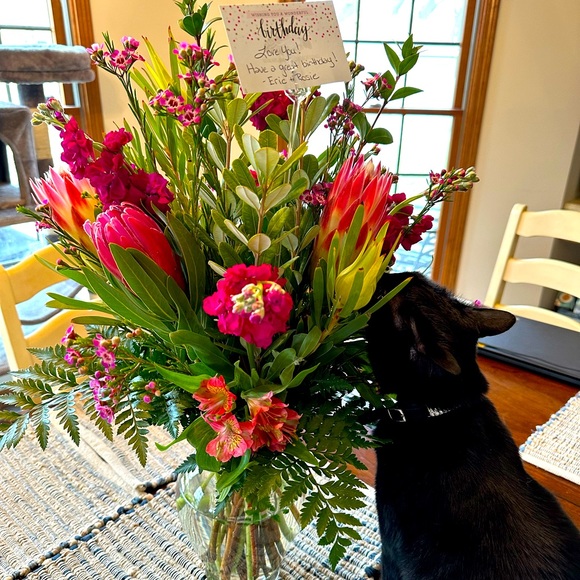 Share &Tag Pls🐈⬛♥️🦋FG 3♥️🐈⬛30% off Bundles ♥️🐈⬛Follow Beanie & Me🐈⬛🦋♥️ - Picture 4 of 15